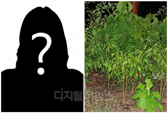 <디지털타임스 DB, 온라인 커뮤니티>